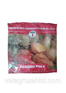 Насіння кормовий буряк Рекорд 1 кг (рожевий) Польща