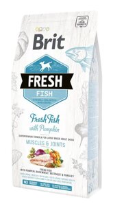 Сухий корм Бріт Brit Fresh Fish/Pumpkin Adult Large (риба/гарбуз) для дорослих собак великих порід, 2.5 кг