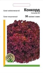 Насіння Салат Конкорд напівкачаний 30 насінин Rijk Zwaan