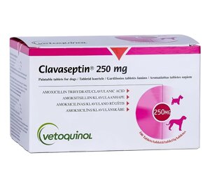 Клавасептин (Clavaseptin) 250 мг 10 табл. - 1т/20кг (для лікування захворювань шкіри кішок і собак) Vetoquino