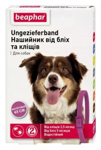 Ошейник Беафар для собак от блох и клещей фиолетовый 65 см, Beaphar в Винницкой области от компании ZooVet - Интернет зоомагазин самих низких цен