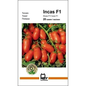 Семена томата Инкас F1 20 сем., Nunhems, Голландия