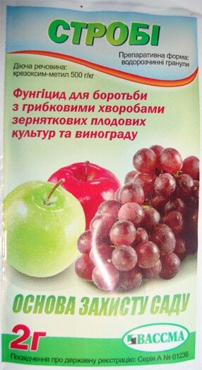 Стробі 2 гр (фунгіцид) від компанії ZooVet - Інтернет зоомагазин самих низьких цін - фото 1