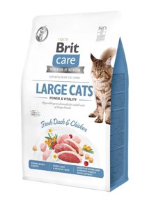 Сухий корм для котів великих порід Бріт Brit Care Cat GF Large cats Power&Vitality з качкою та куркою, 2 кг