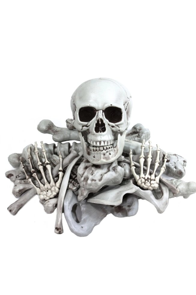 Декор Скелет, кістки на Хеллоуїн 28 предметів від компанії Інтернет магазин "Megamaks" - фото 1