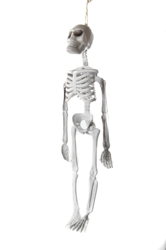 Декоративний підвісний скелет на Хеллоуїн 10 штук упаковка 33 см від компанії Інтернет магазин "Megamaks" - фото 1