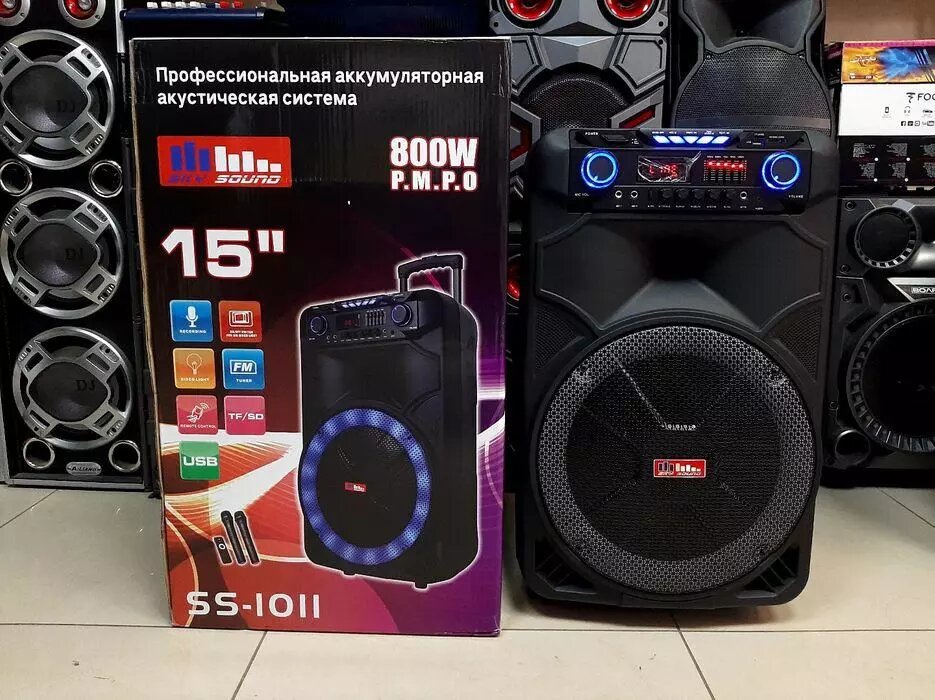 Колонка на акумуляторі з двома мікрофонами Sky Sound SS-1011 800W USB Bluetooth FM від компанії Інтернет магазин "Megamaks" - фото 1