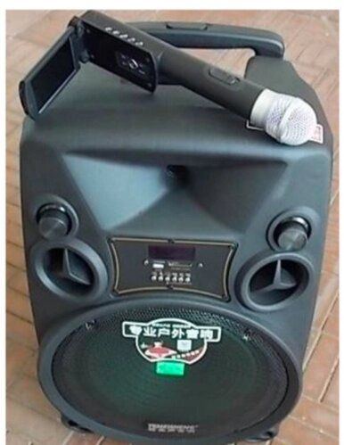 Колонка з мікрофонами Temeisheng SL12-14 акумуляторна акустика від компанії Інтернет магазин "Megamaks" - фото 1