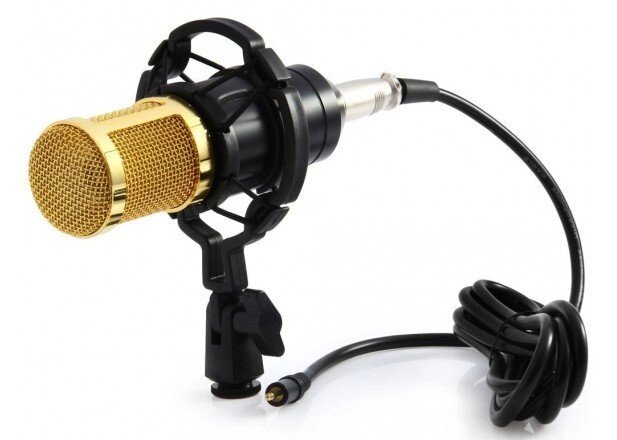 Мікрофон студійний DM 800 настільний від компанії Інтернет магазин "Megamaks" - фото 1