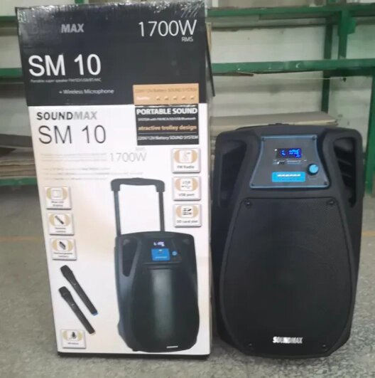 Мобільна акустична система Soundmax SM -10 2 мікрофона від компанії Інтернет магазин "Megamaks" - фото 1