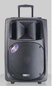 Потужна акумуляторна акустика Temeisheng TMS SL-16 (USB-BT-2MIC-600W)