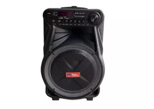 Колонка Акумуляторна Sky Sound SS-7171 12 дюймів 600W