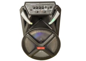 Акумуляторна колонка ZXX 8884 з мікрофоном 300W 12 дюймів USB / FM / Bluetooth