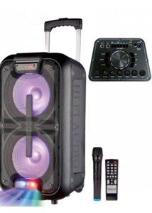 Акустична система AILIANG UF-2101 2 мікрофони 10 '' * 2 / USB / FM / TF / BT