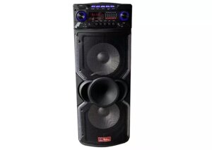 Колонка-чемодан SKY SOUND SS-1010C Bluetooth. USB, FM 2 радіомікрофона 800W