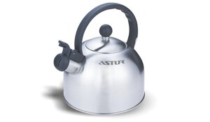 Чайник ASTOR AST 17025 домашній чайник нержавіюча сталь зі свистком 2.5 л