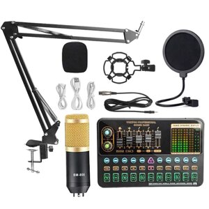 Конденсатор мікрофона з звуковою картою V10 з вітрозахисним і лічильником