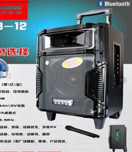Музична колонка Temeisheng A8-12 акустика з мікрофоном і акумулятором usb bluetooth