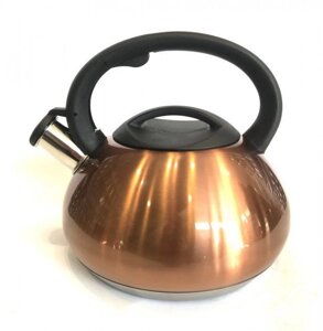 Чайник кухонний зі свистком Benson BN-713 золотий колір