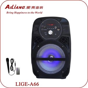 Акумуляторна колонка AILIANG LIGE-A66, музична акустика, портативна