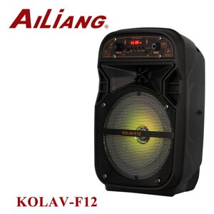Портативна колонка акумуляторна KOLAV-F12 6.5 дюйма мікрофон Bluetooth 120 Вт