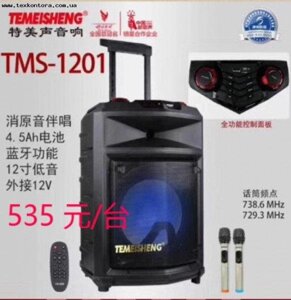 Колонка з мікрофонами Temeisheng TMS 1201 акумуляторна акустика Bluetooth FM радіо
