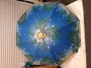 Пляжний парасолька 2 м з напиленням регулюванням нахилу купола