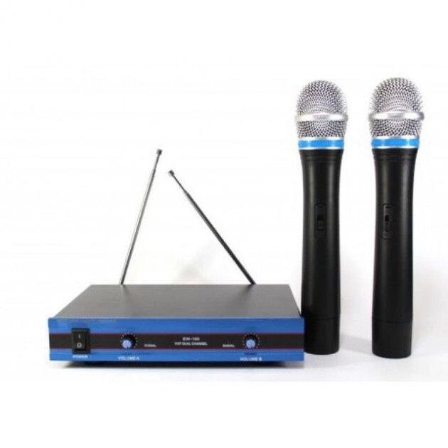 Радіосистема DM EW 100 2 мікрофони для караоке від компанії Інтернет магазин "Megamaks" - фото 1