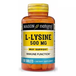 Амінокислота Лізин Mason Natural L-Lysine 500 mg 100 Tabs