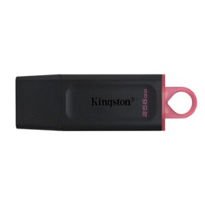 Флешка ЮСБ King DT Exodia USB Flash Drive 3.2 256Гб Black / Pink