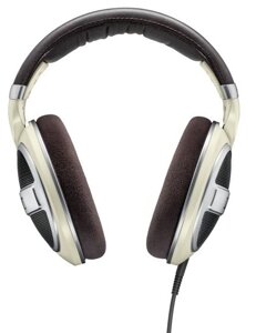 Гарнітура Sennheiser HD 599 (6313904)