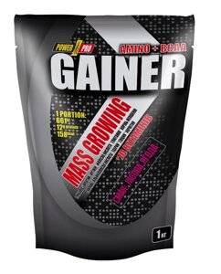 Гейнер Power Pro Gainer 1000 g /25 servings/ Лісова ягода