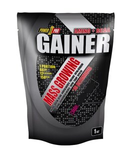 Гейнер Power Pro Gainer 1000 g /25 servings/ Ваніль