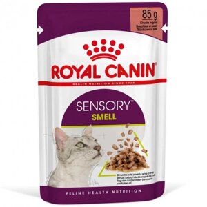 Консервований корм Royal Canin Sensory Smell in Gravy 85 г (1517001)