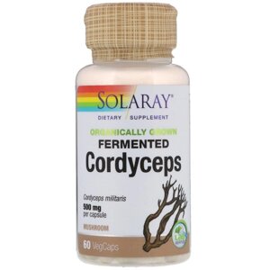 Кордицепс 500 мг, Ферментовані гриби, Organically Grown Fermented Cordyceps, Solaray, 60 вегетаріанських капсул