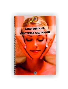 Методичний посібник Vivay Анатомічна система обличчя А4 18 стор Різнокольоровий