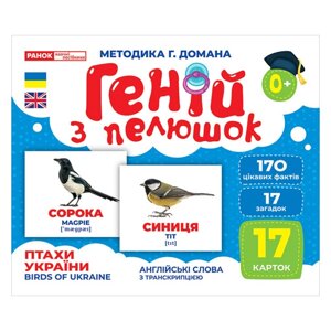 Набір карток Геній з пелюшок "Птахи України" Ранок 10107193У 17 карток