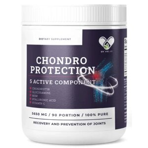 Препарат для суглобів і зв'язок En`vie Lab Chondro Protection 5 Active 508,5 g 90 servings Berries