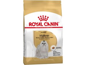 Сухий корм Royal Canin Maltese Adult для собак породи Мальтійська болонка 0,5 кг (3182550782180)