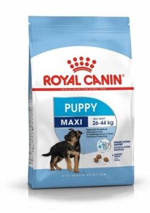 Сухий корм Royal Canin Maxi Puppy для цуценят великих порід до 15 місяців 4 кг (3182550402149)