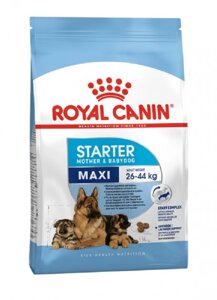 Сухий корм Royal Canin Maxi Starter для цуценят великих порід до 2-місячного віку 4 кг (29940400)