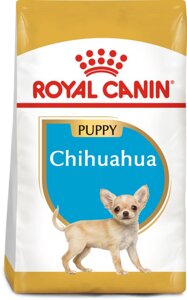 Сухий повнораційний корм для цуценят Royal Canin Chihuahua Puppy породи чихуахуа віком від 2 до 8 місяців 1.5 кг