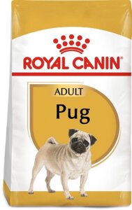 Сухий повнораційний корм для дорослих собак породи мопс Royal Canin Pug Adult у віці 10 місяців і старше 3 кг