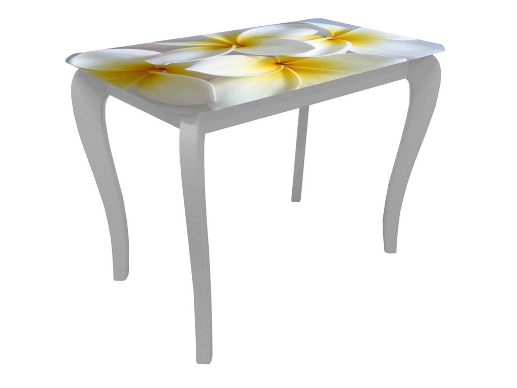 Скляний стіл для кухні з малюнком ДКС Класик Антонік, колір на вибір - особливості