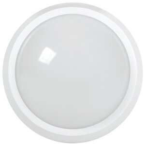 Світлодіодний світлодіод DPO 5071 28W 6500K IP65 Circle White