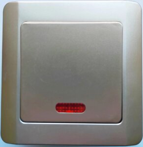 ВС10-1-1-ГР Вимикач одноклавішний з світло. індикацією (в зб. перловий металік"