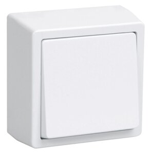 ВСк20-1-0-ББ Вимикач кнопковий 1-клав. для відкритої установки (білий) БРІКС