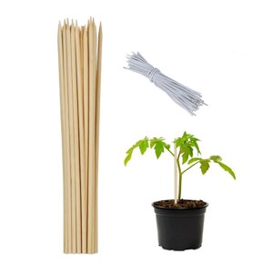 Палички для бамбукових рослин 30 см Набір з 50 шт.