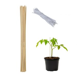 Набір посадочних бамбукових паличок 60 см для вирощування рослин, 50 шт.