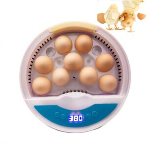 Інкубатор на 9 яєць Повністю автоматичний інкубатор зі світлодіодним інкубатором Інкубатор